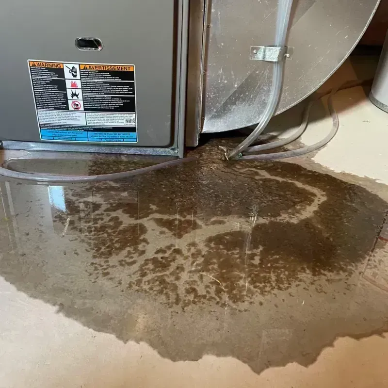 Appliance Leak Cleanup in Highlands Ranch, CO